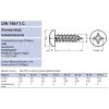 LEMEZCSAVAR DFKH D2.9*6.5 HG