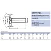 SFEH CSAVAR M3*25 (SÜLLY.FEJ)