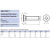 BK SÜLLYESZTETTFEJŰ M10*25 A2